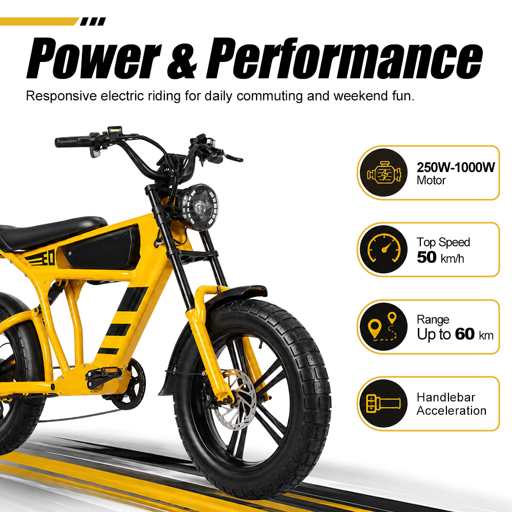 48V 18.2Ah 1000W Fat Tire Elec - đánh giá và giá Cycling Commute Speed